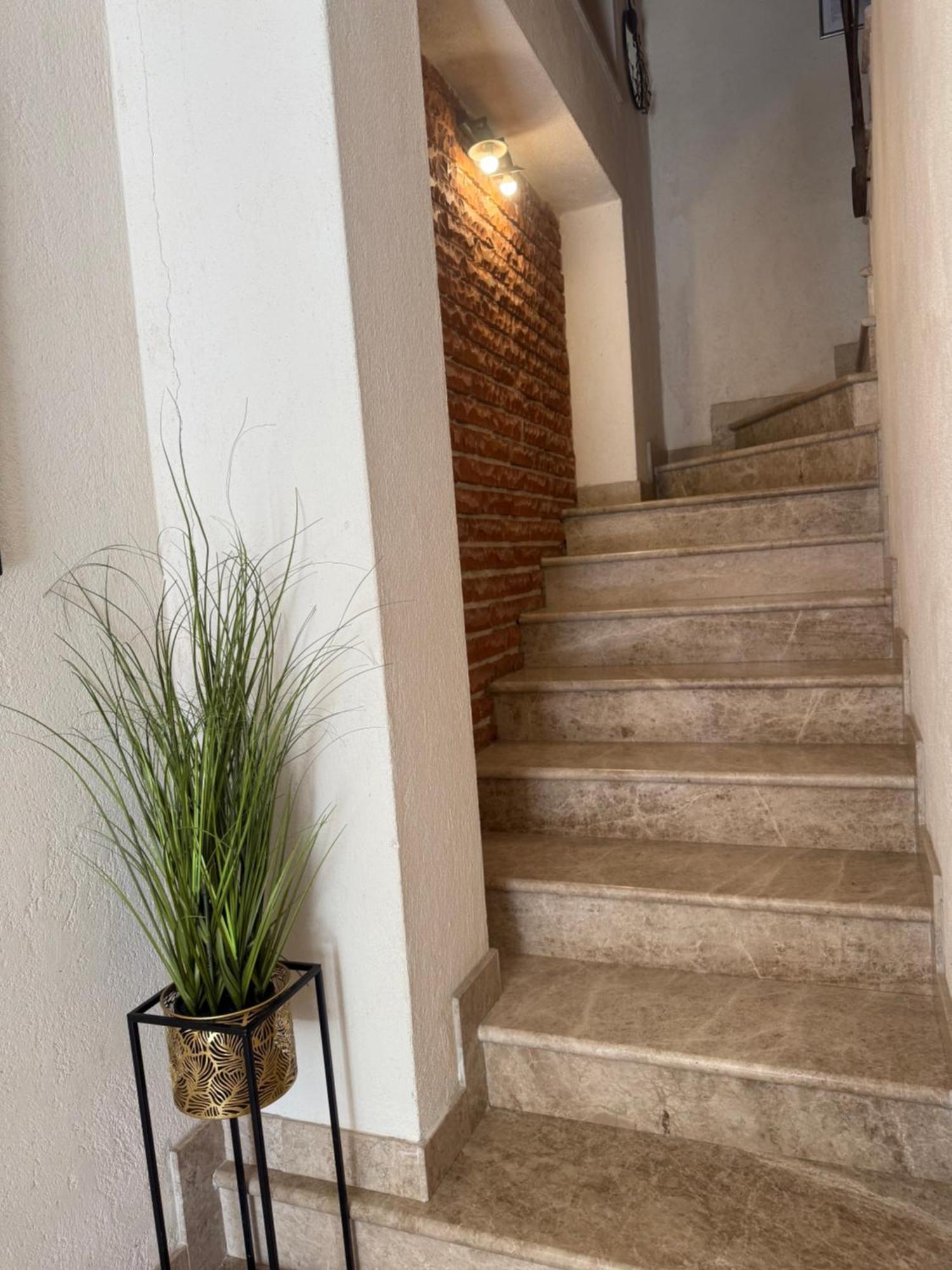 Skver Studio Apartments Herceg Novi Kültér fotó